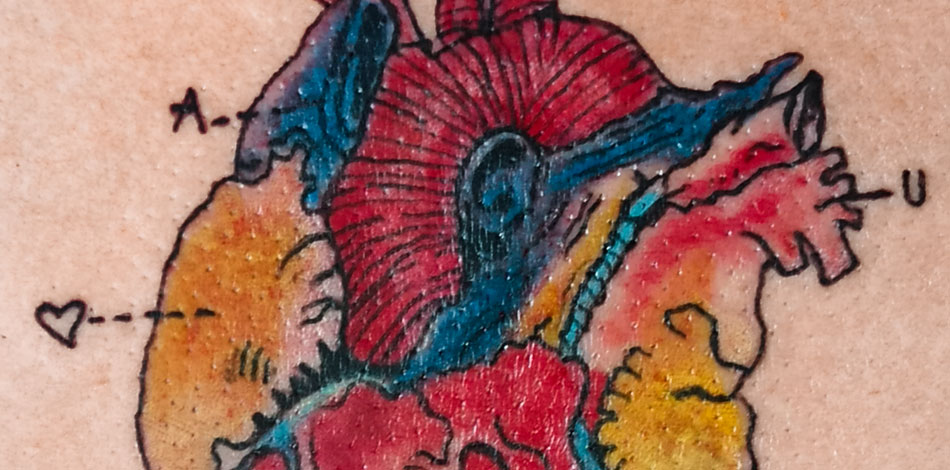studio tatuazu w warszawie serce kolorowy tatuaz na klacie projekt i wykonanie miladelic studio tatuazu brodno targowek praga zacisze bialoleka